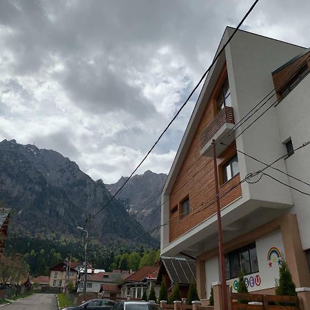 Vila Curcubeu Hotel Buşteni Buitenkant foto