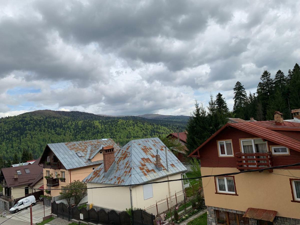 Vila Curcubeu Hotel Buşteni Buitenkant foto