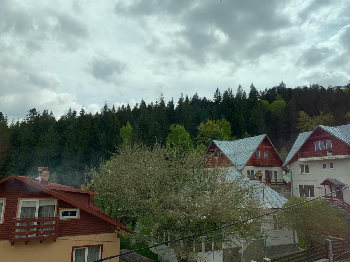 Vila Curcubeu Hotel Buşteni Buitenkant foto