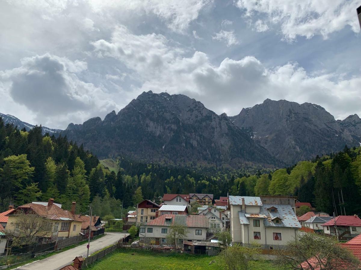 Vila Curcubeu Hotel Buşteni Buitenkant foto